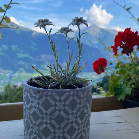 Sonnenschein Im Johanna In Mayrhofen-hippach- Naehe Der Skipiste