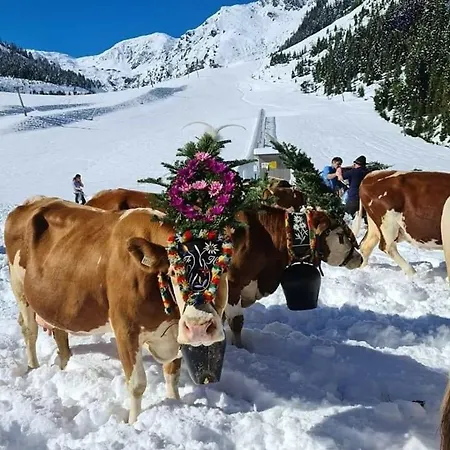 Sonnenschein Im Johanna In Mayrhofen-hippach- Naehe Der Skipiste * 힙파흐