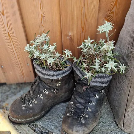 Sonnenschein Im Johanna In Mayrhofen-hippach- Naehe Der Skipiste 아파트