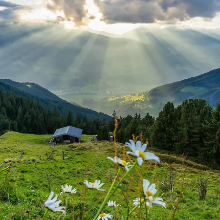 아파트 Sonnenschein Im Johanna In Mayrhofen-hippach- Naehe Der Skipiste *