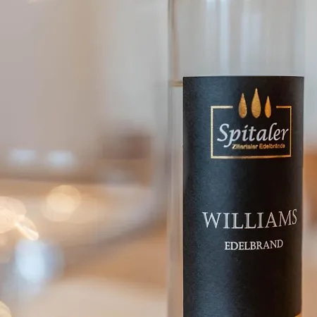 Sonnenschein Im Johanna In Mayrhofen-hippach- Naehe Der Skipiste Daire *