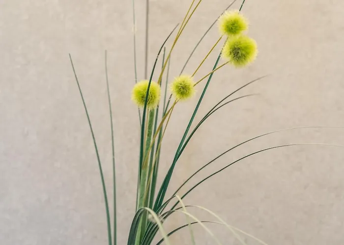 Sonnenschein Im Johanna In Mayrhofen-hippach- Naehe Der Skipiste *