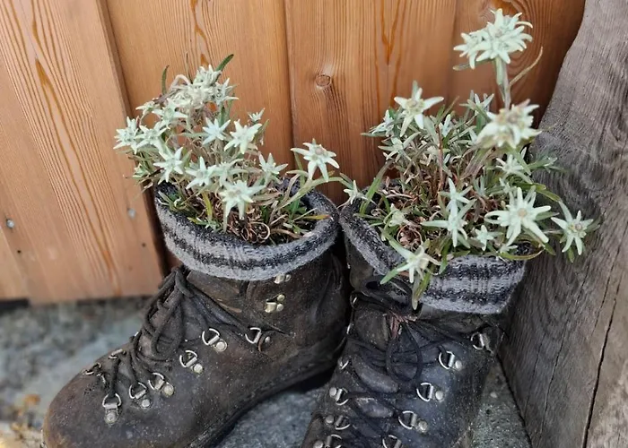 Sonnenschein Im Johanna In Mayrhofen-hippach- Naehe Der Skipiste Daire