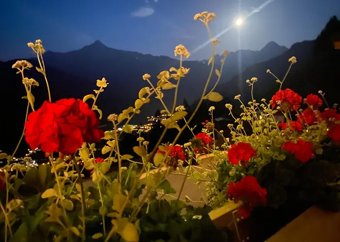 Sonnenschein Im Johanna In Mayrhofen-hippach- Naehe Der Skipiste Daire