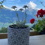 Sonnenschein Im Johanna In Mayrhofen-hippach- Nähe Der Skipiste