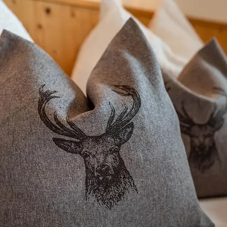 Sonnenschein Im Johanna In Mayrhofen-hippach- Naehe Der Skipiste Daire *