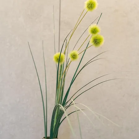 Sonnenschein Im Johanna In Mayrhofen-hippach- Naehe Der Skipiste *