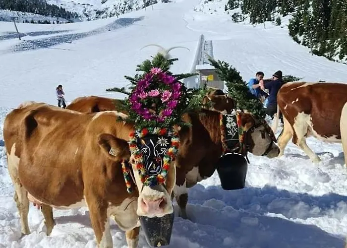 Sonnenschein Im Johanna In Mayrhofen-hippach- Naehe Der Skipiste * Hippach