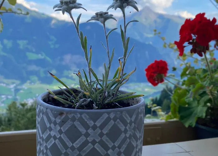 Sonnenschein Im Johanna In Mayrhofen-hippach- Naehe Der Skipiste